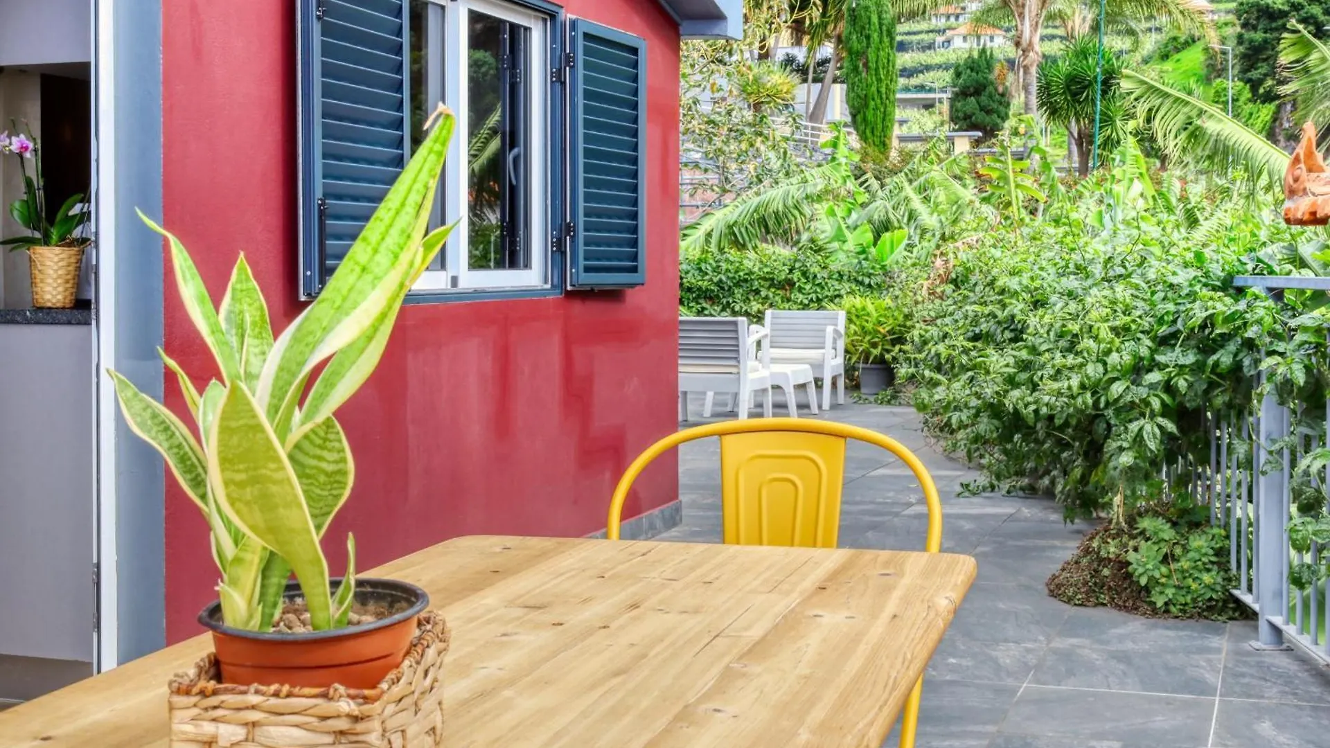 Casa Da Praia, A Home In Madeira 里贝拉布拉瓦 公寓